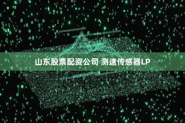 山东股票配资公司 测速传感器LP