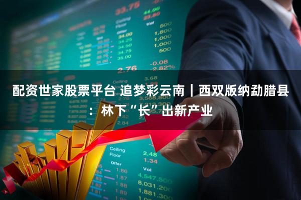 配资世家股票平台 追梦彩云南｜西双版纳勐腊县：林下“长”出新产业